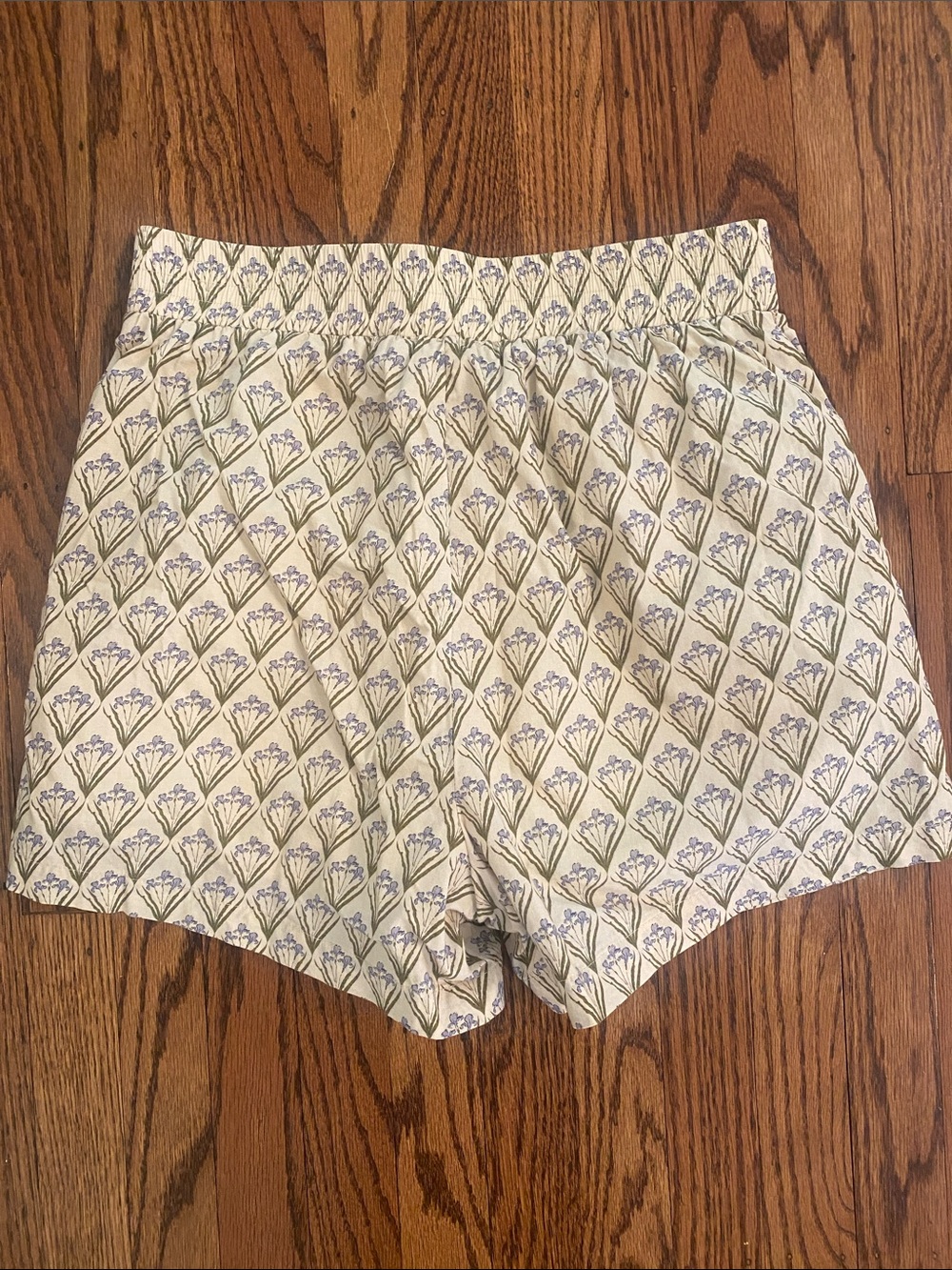 EUC Tuckernuck Hyacinth House Kieran Shorts